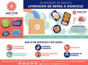 Assistant / Assistante de vie Age d'Or Services - 66330 - Cabestany