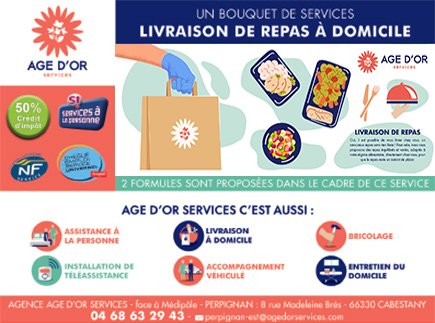 Assistant / Assistante de vie Age d'Or Services - 66330 - Cabestany